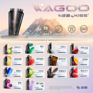 微信图片_20260318134216_484_1900 新品上市【WAGOO❣️哇酷拋棄式6500口❣️】by KIS5 的高端品牌 【滿10送1】